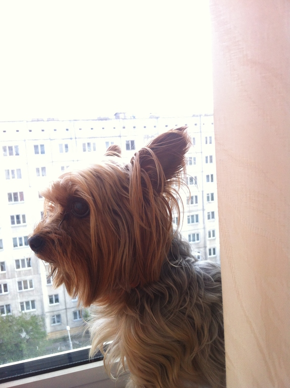 Один наш день...