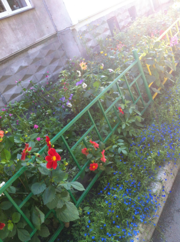 Один наш день...