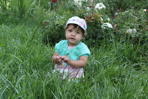 0b1761cac77844f9dc25697528f1bf98.jpg