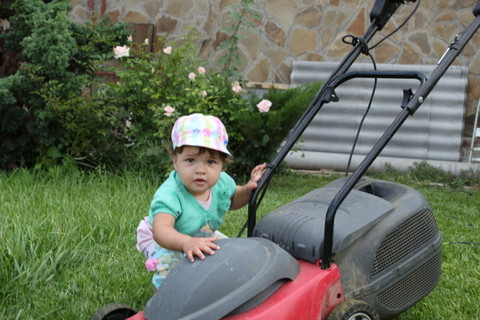 d4542ed72747c28cf73cc74f92d44d02.jpg