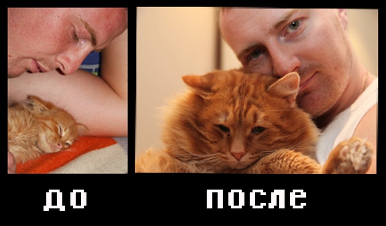 9501c3648892e333e1d26bdc43a4651f.jpg