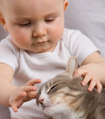 Кошки и дети