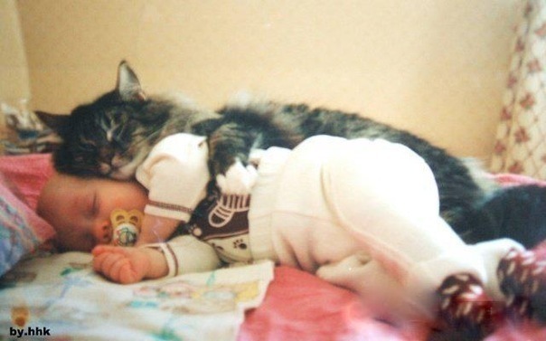 Кошки и дети