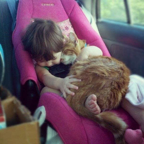 Кошки и дети