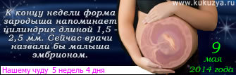 54b499c68f284e79b4e572625c05dc99.jpg