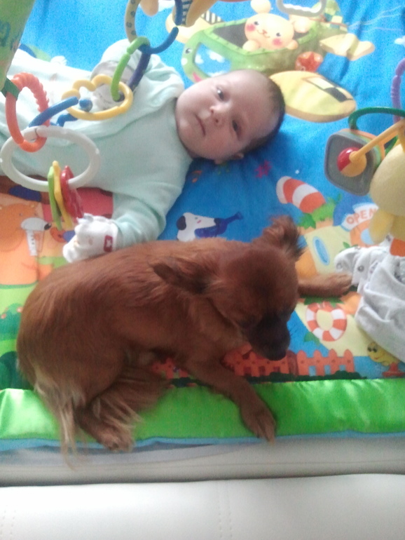 Сын с Алешей)