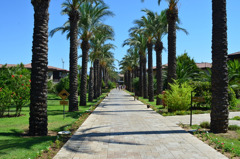 Обещанный позитив от поездки в Сиде.