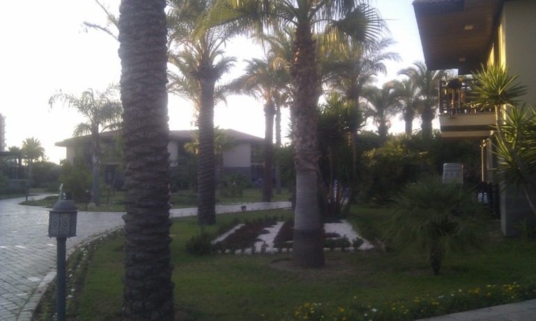 Обещанный позитив от поездки в Сиде.