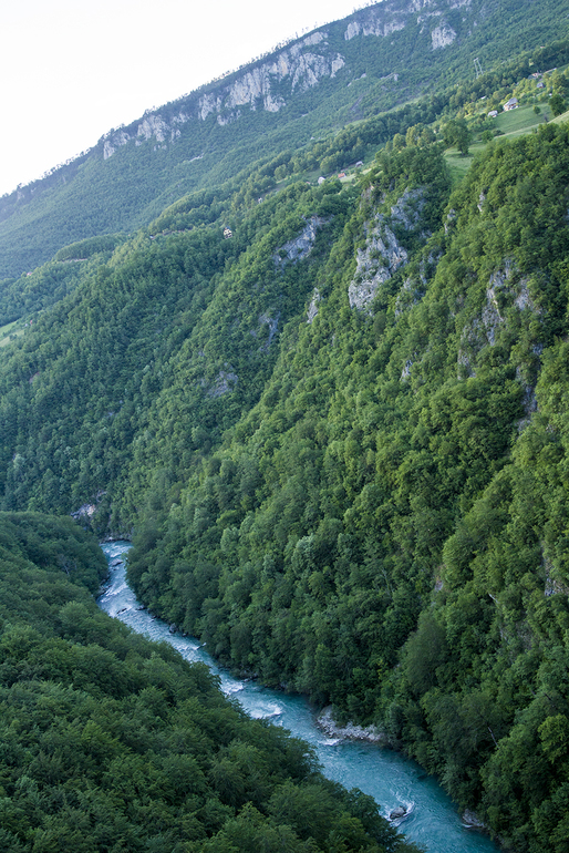 12d28e26080244a43f5c51aa2cf78258.jpg