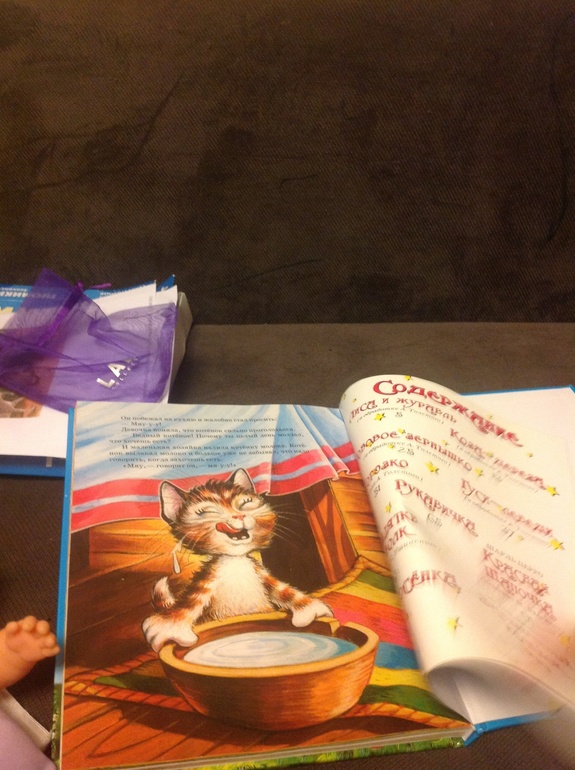 Немножко про семейство кошачьих или тз на тему "кошка"