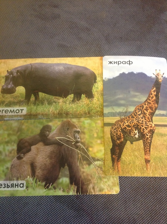 Зоопарк. Как мы играли. Часть первая.