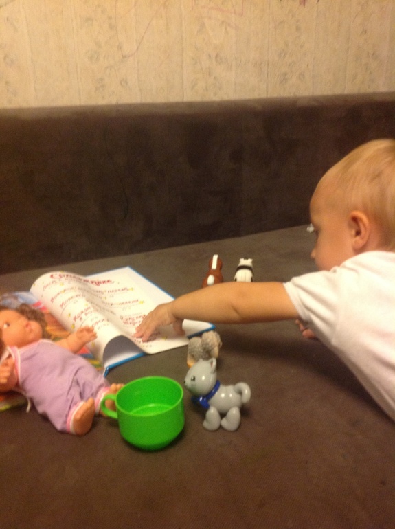 Немножко про семейство кошачьих или тз на тему "кошка"