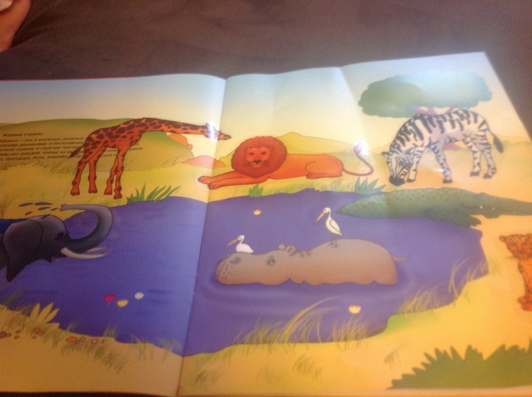 Зоопарк. Как мы играли. Часть первая.