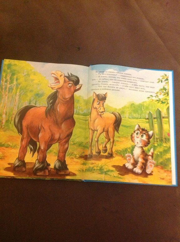 Немножко про семейство кошачьих или тз на тему "кошка"