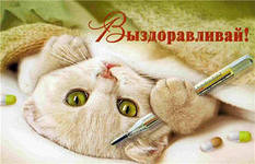 1c8b8d9433a2990319ecee208dd7fc79.jpg