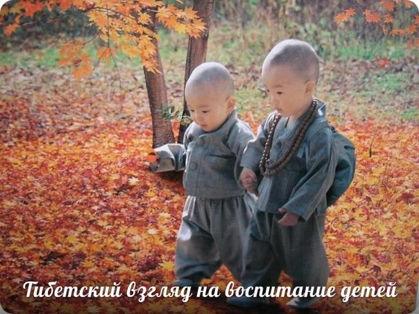 Тибетский взгляд на воспитание детей