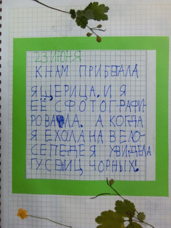 459b156dd2daf582069130b395f85062.jpg