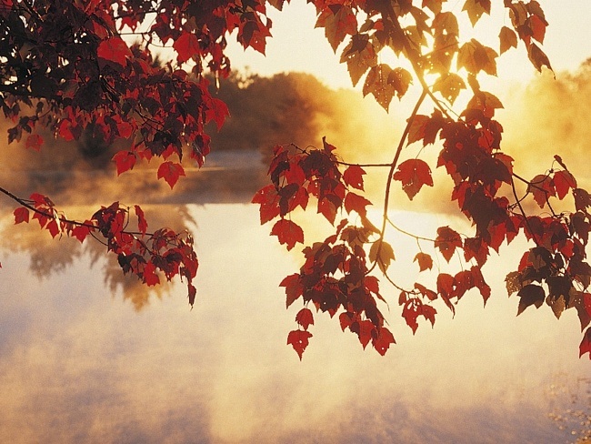 Wake me up when september ends...