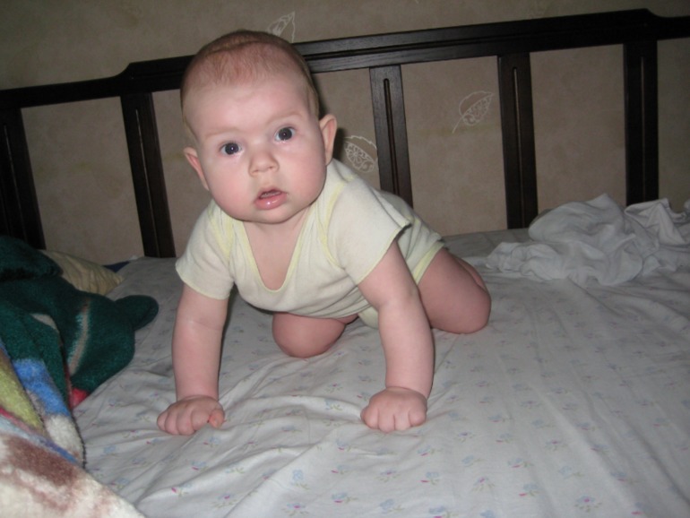 0052fccea3ef40db9be6f96eb77a37d5.jpg