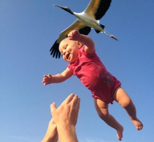 Жду вот такого АИСТА. Лягушек наготовила лично - фоторужьем))))