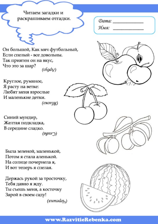 Схема описания ягод для дошкольников