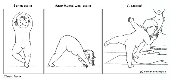 ef4cef6dc8dd0419ffc653c78fe7b95e.jpg