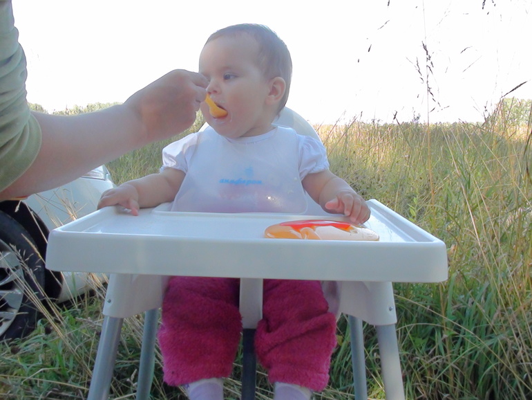 Отчет о поездке на Алтай