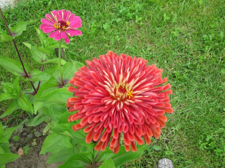 186da240d2fc9371c9cf48290df3faa5.jpg