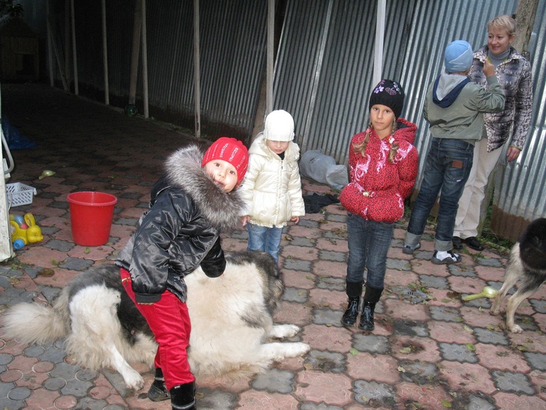 Были в гостях у Лизы.