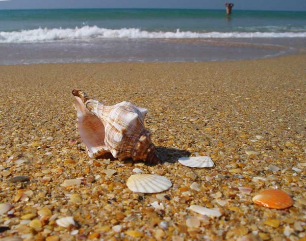 Уезжаю на месяц отдыхать!!!!