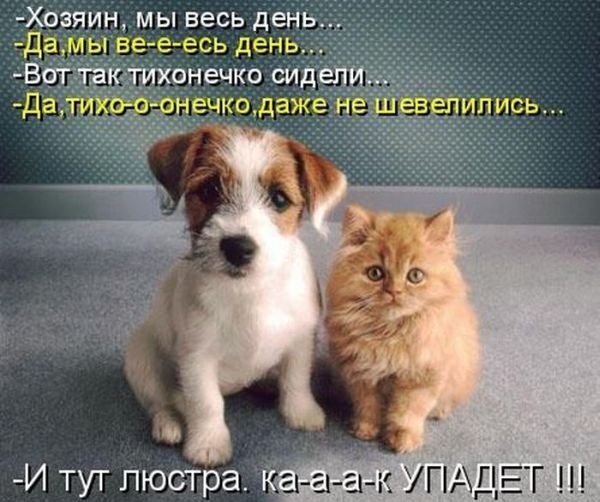 невинные озорники....