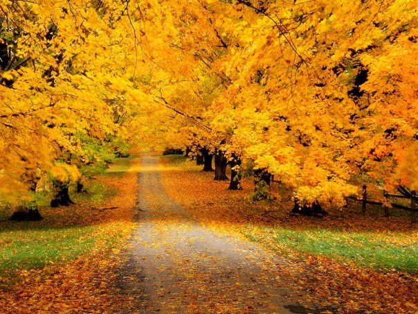 Дождь-дождь-дождь...