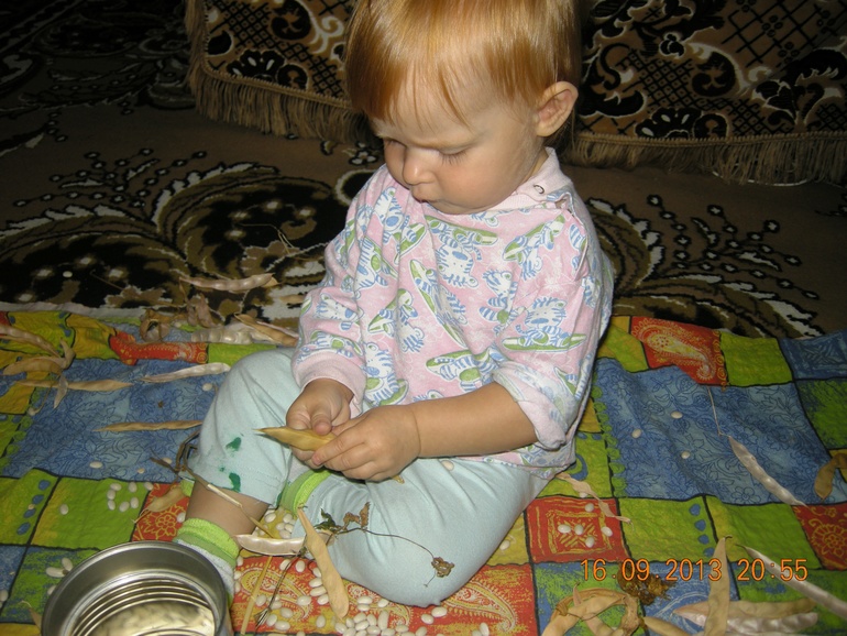 Тренировка мелкой моторики стручками фасоли