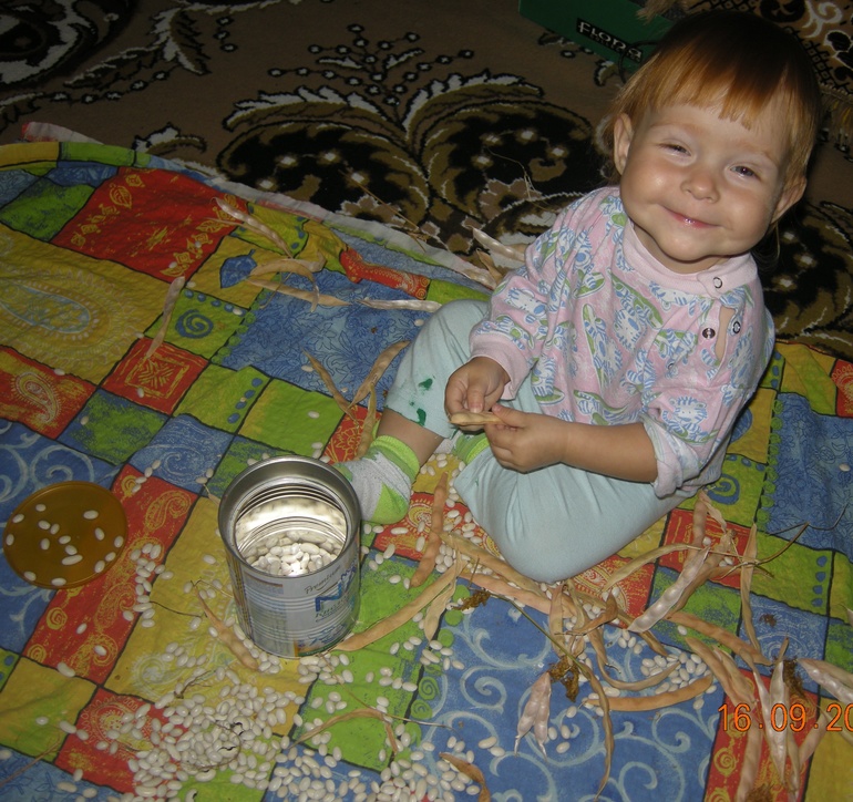 Тренировка мелкой моторики стручками фасоли