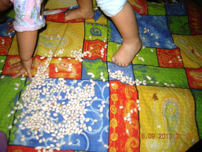 Тренировка мелкой моторики стручками фасоли