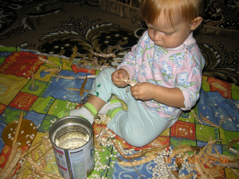 Тренировка мелкой моторики стручками фасоли