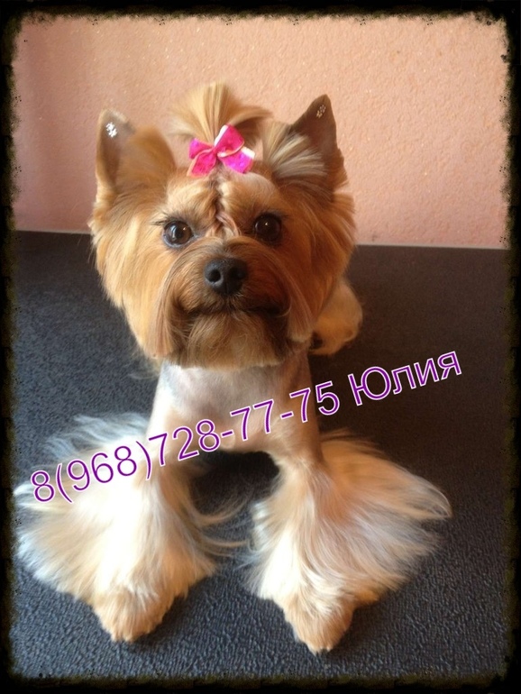 314b861ceba113dfb724ec94ffd51feb.jpg