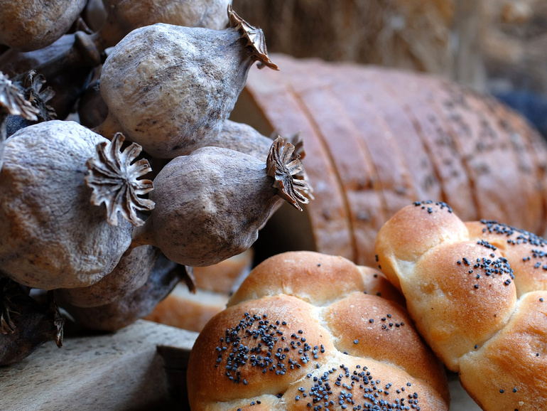 Булкам бой!