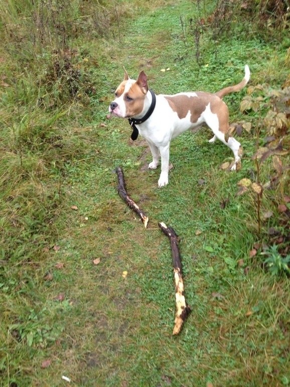 Я горжусь своим другом!)