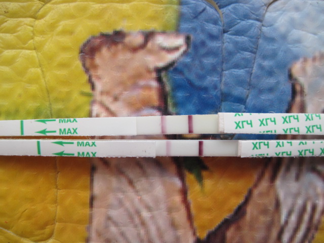 43ad2a6ca718542105be6b1b937dd425.jpg