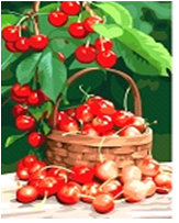 d5884d7904d173d73de264f2498ef95b.png