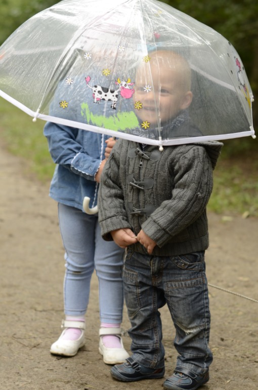 Добро пожаловать на прогулки!
