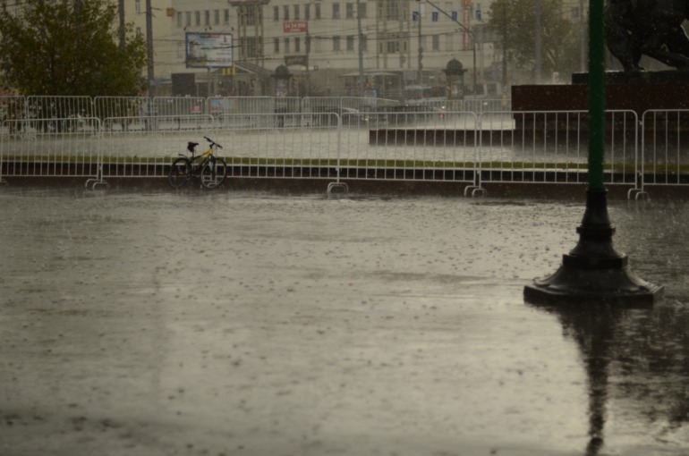 Добро пожаловать на прогулки!