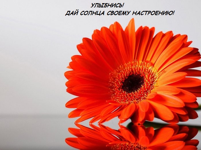 Всем хорошего дня! Дарю позитив))
