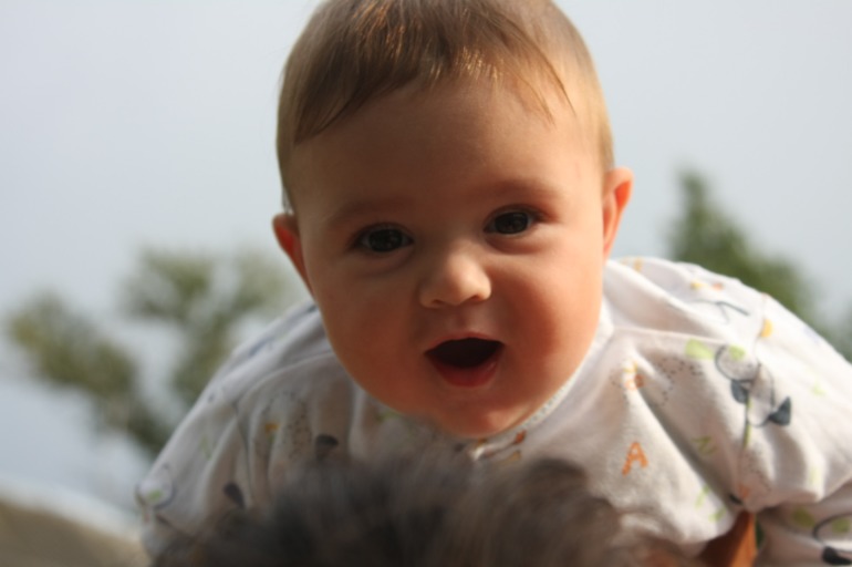 84770100c584c0afa9c35a7761c99e8c.jpg