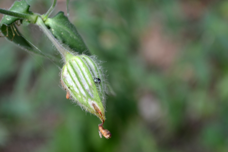 Удивительное рядом