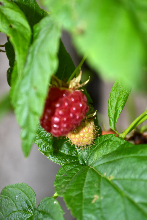 Удивительное рядом