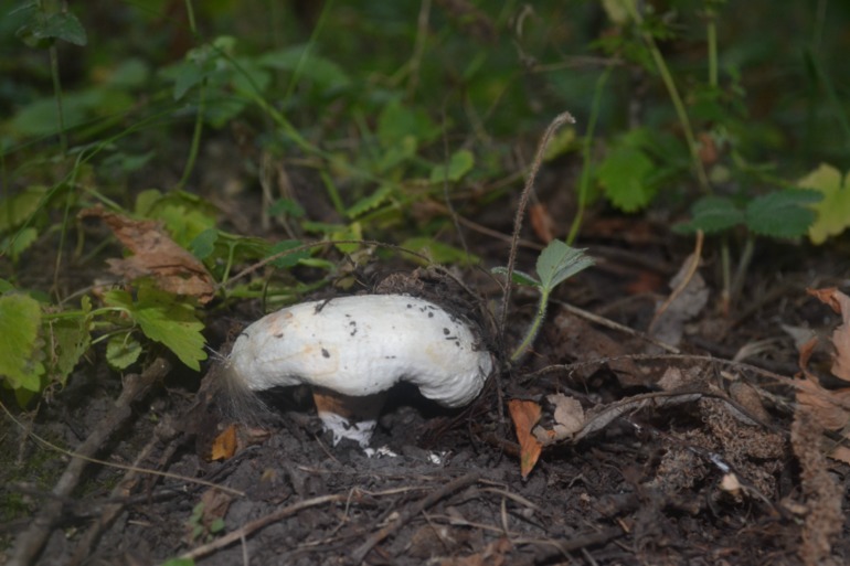 У моего ребенка тяжелое деревенское детство-2)))