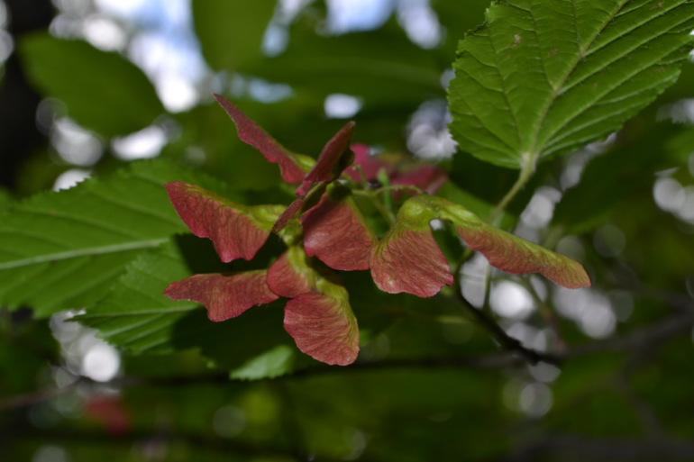 Удивительное рядом