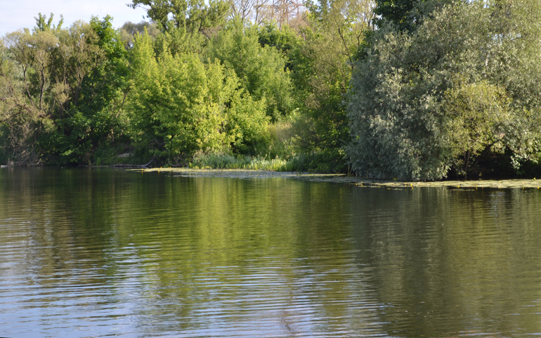 Июнь. Речка